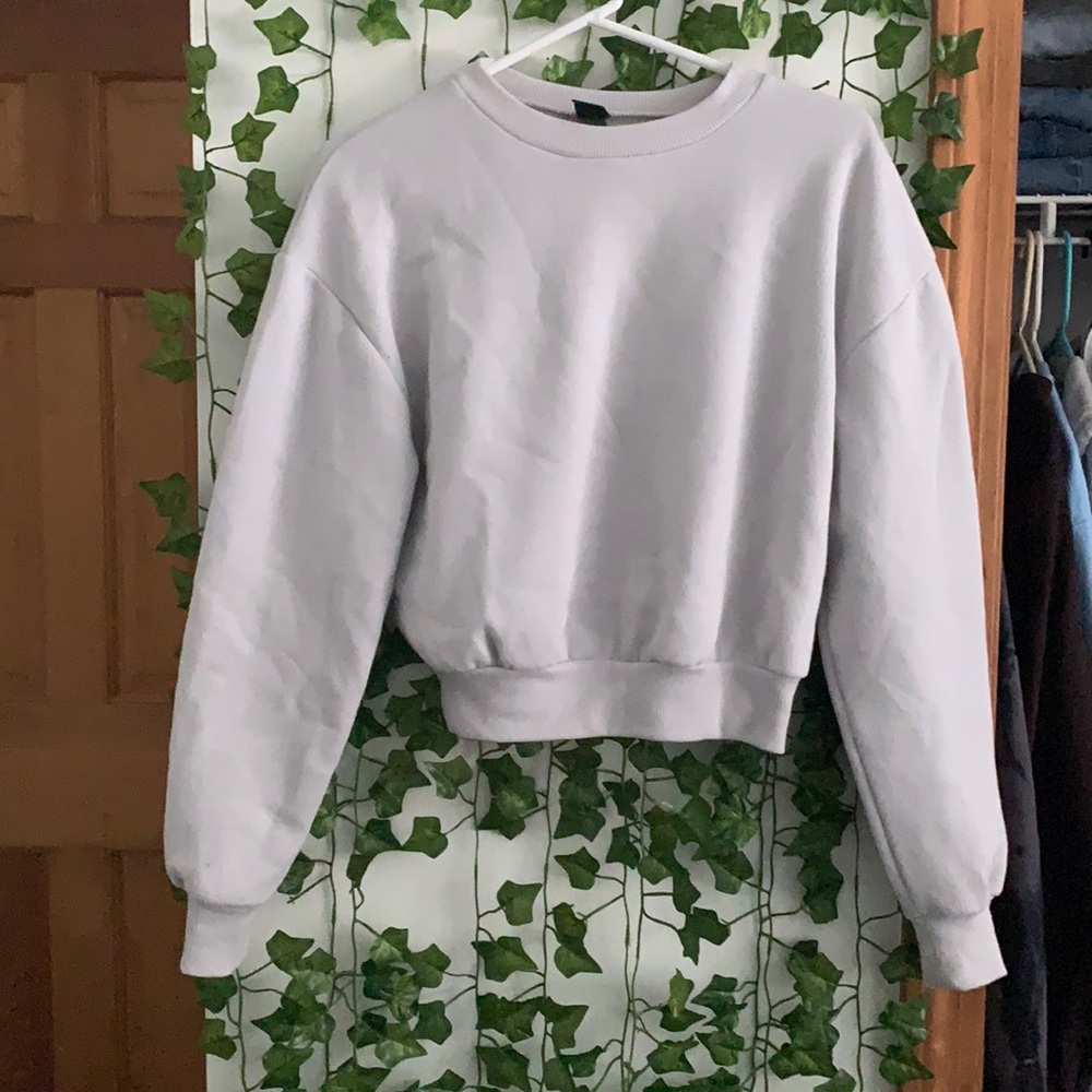 Wild Fable grey cropped sweatshirt